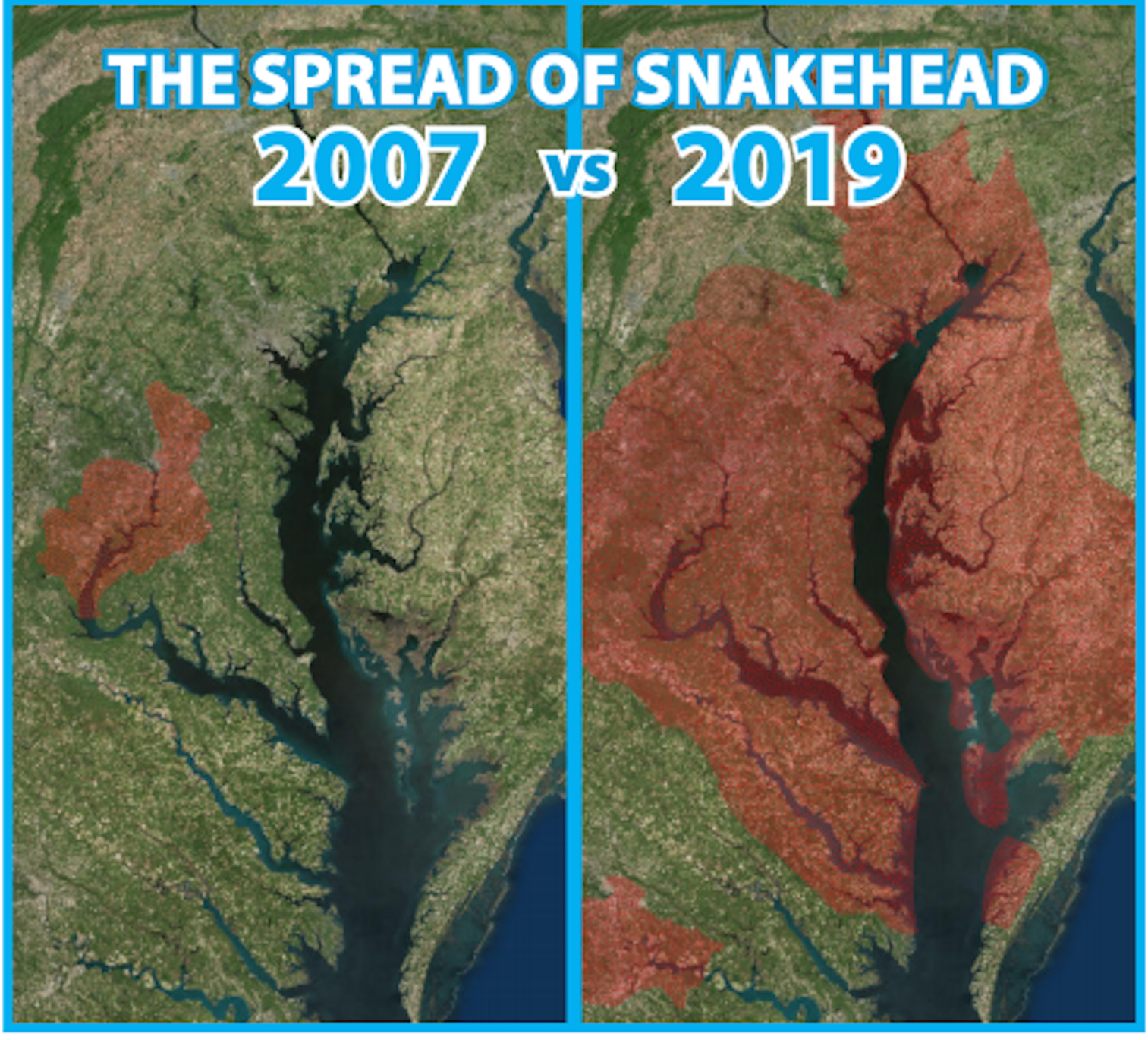 DNR graphic
